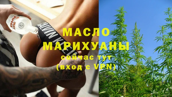 сатива Аркадак