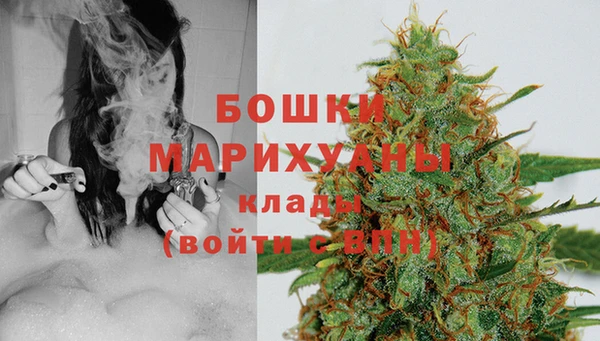 гидра Армянск