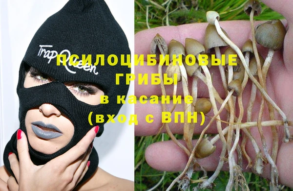 синтетический гашиш Арсеньев