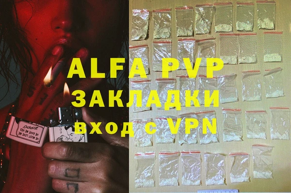 сатива Аркадак