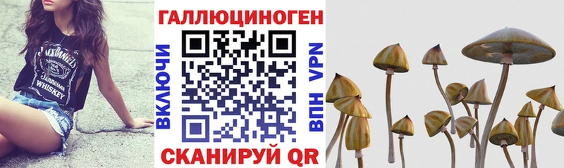 Псилоцибиновые грибы GOLDEN TEACHER  где можно купить   Новомосковск 